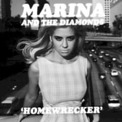 Homewrecker