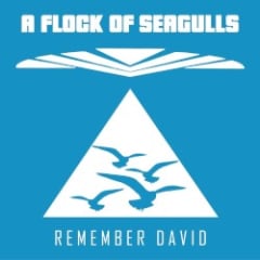 Remember David