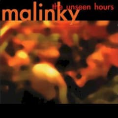 The Unseen Hours