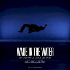 Wade in the Water
