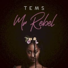Mr Rebel