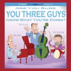 Are You Sure You Three Guys Know What You’re Doing?