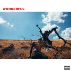 Wonderful