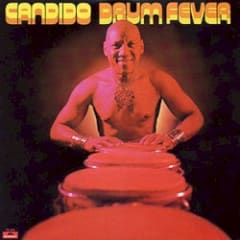Drum Fever