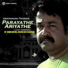 Parayathe Ariyathe (Lofi)