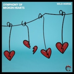 Symphony of Broken Heart