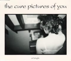 Pictures of You