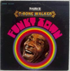 Funky Town