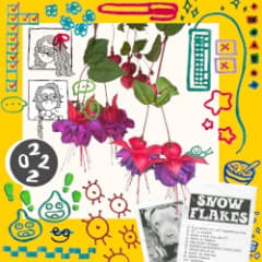 snow flakes 2022