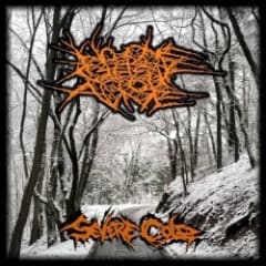 Severe Cold