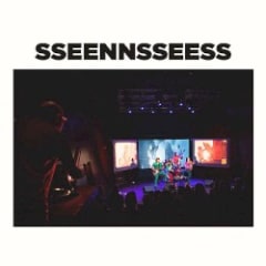 SSEENNSSEESS