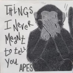 Things I Never Meant to Tell You