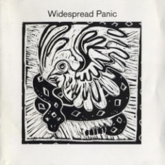 Widespread Panic
