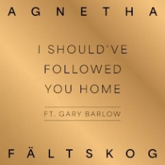 I Should've Followed You Home