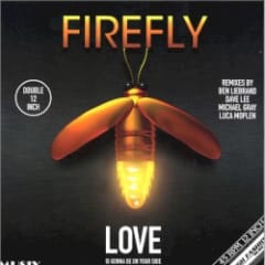 Love Is Gonna Be On Your Side (Remixes)
