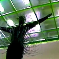 失われた者たちへのエレジー