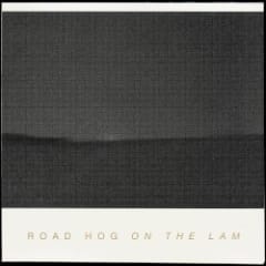 On the Lam