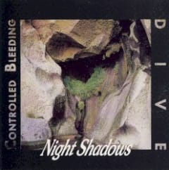 Night Shadows
