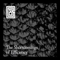 The Shortcomings of Efficiency