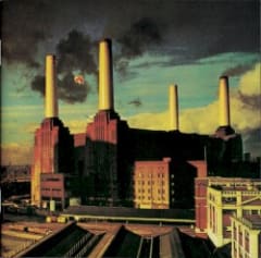 Animals