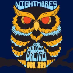 Nightmares and Wildest Dreams