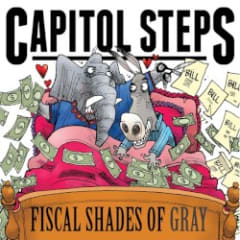Fiscal Shades of Gray