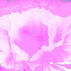 Monthly Subscription Series 010