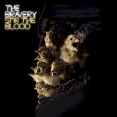 Stir the Blood