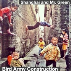 Bird Army Construction