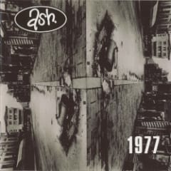1977