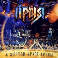 В жёлтом круге арены