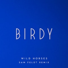Wild Horses (Sam Feldt remix)