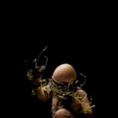 Primitive Plants
