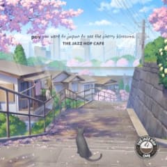 Cherry Blossoms