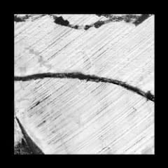 Untitled 1
