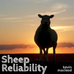 Sheep Reliability