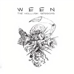The Mollusk Sessions