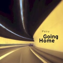 Going Home
