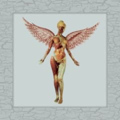 In Utero 30th Live
