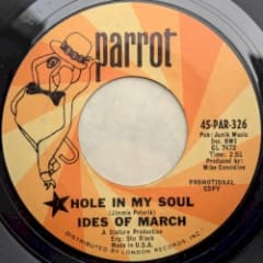 Hole In My Soul