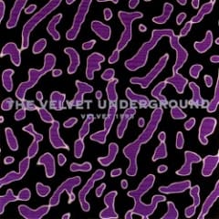 Velvet 1993