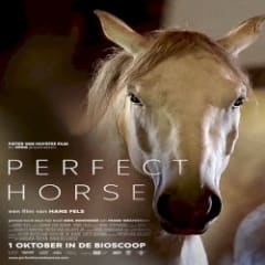 Perfect Horse (Original Soundtrack)