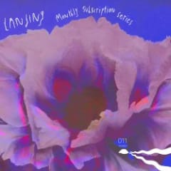 Monthly Subscription Series 011