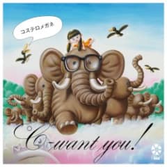 コステロメガネ