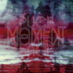 Puce Moment