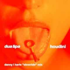Houdini (Danny L Harle “Slowride” mix)