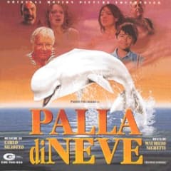 Palla di neve