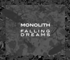 Falling Dreams