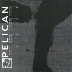Pelican