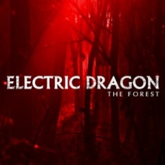 The Forest
